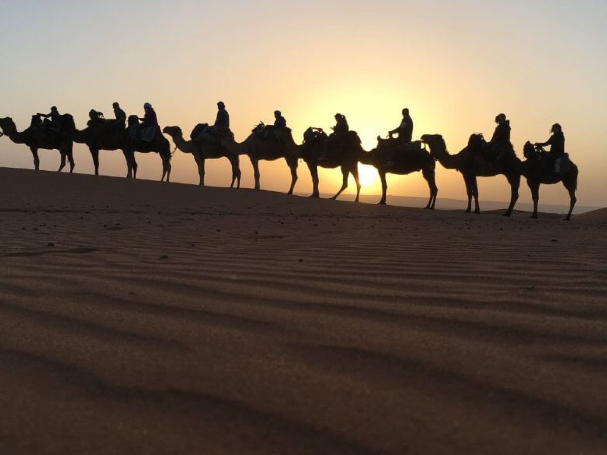 Camel Ride Merzouga