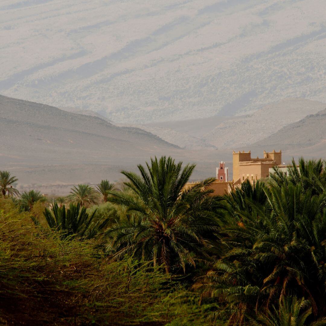Ouarzazate Desert Tours: Explore the Unforgettable Moroccan Desert – Group Tour